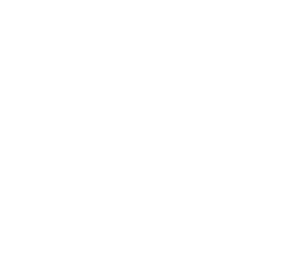 Ecommerce Icon