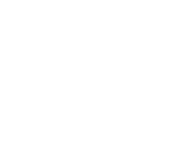 Local SEO Icon